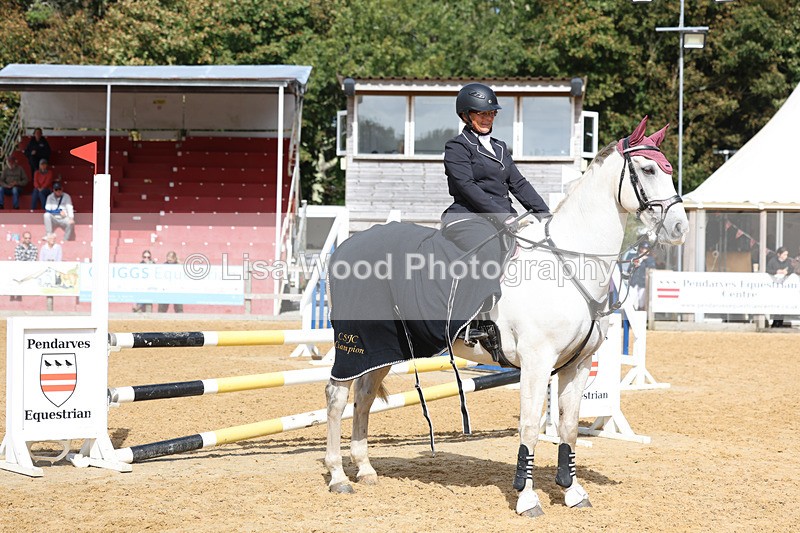 3E7A9541 - Class 9: Senior British Novice/90cm open