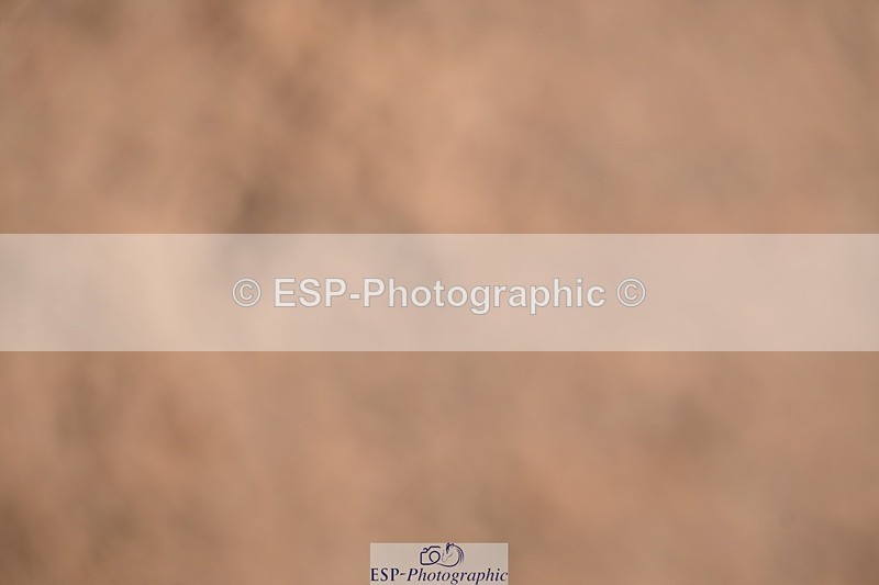 250912-140842-04762 - Cls 19 Area Trial