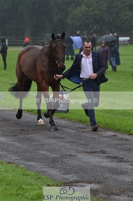 231018-120536-00073 - 008-CECEIA.DE.MUZE-Alan.Nolan-TrotUp