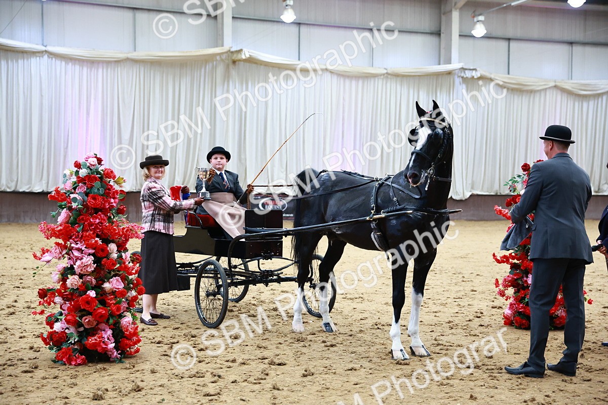 0B8A3922 - Class 13  - HHS Championship Intl Hackney Horse to a Show Wagon