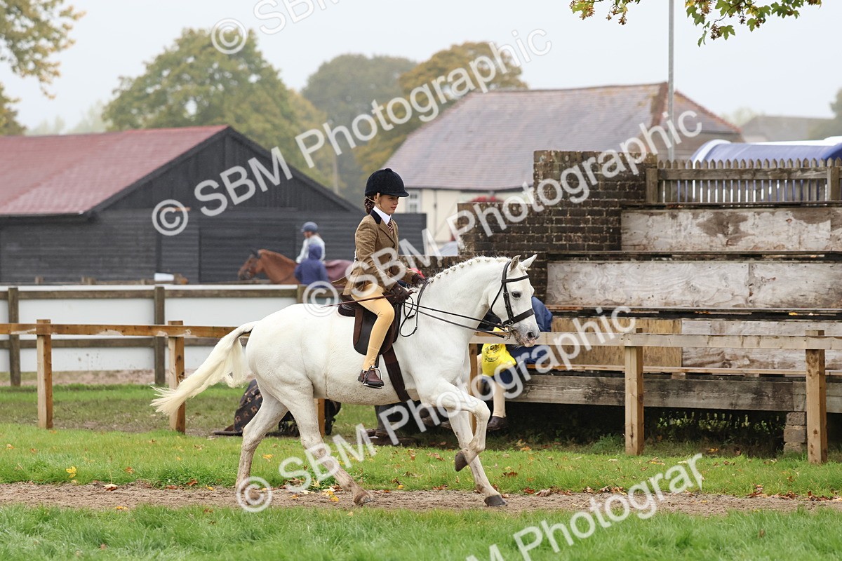 SBM_73004 - S63 Show Pony & Show Hunter Pony Ridden
