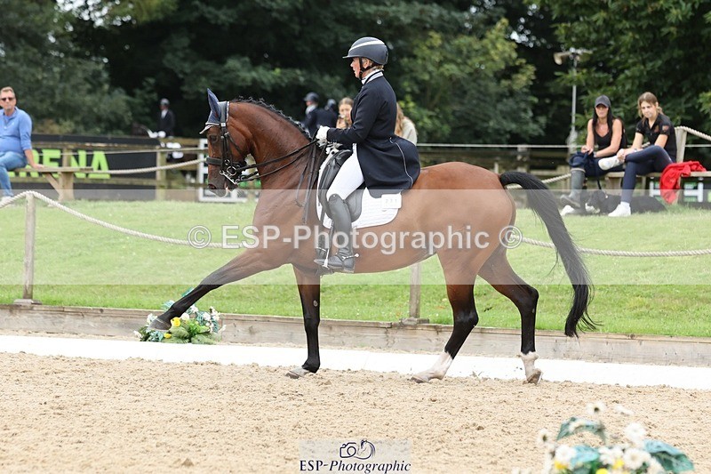 240810-151904-03962 - 231-Louise.Hutchinson-Donnarella