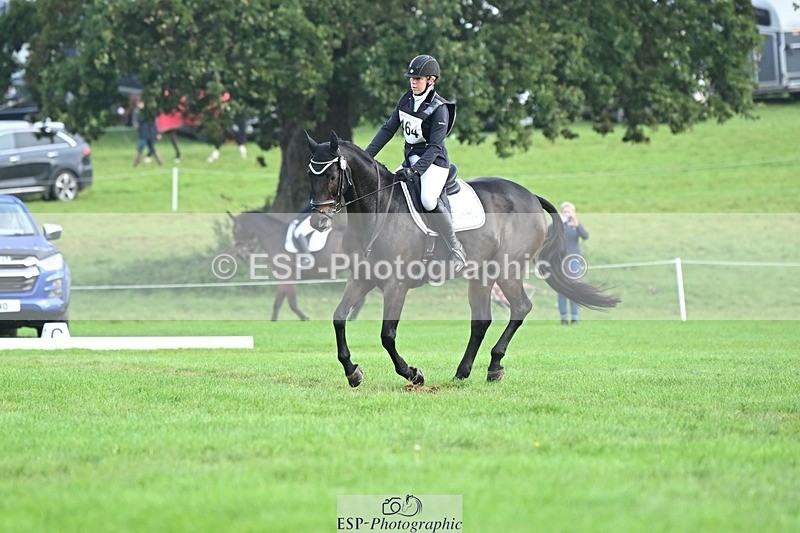 231020-094540-05753 - 464-IMPERIAL.TANGLE-Deborah.Burrell-DR