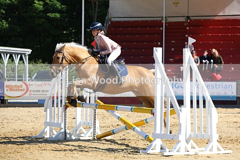 3E7A8942 - Class 4: Pony British Novice/80cm open