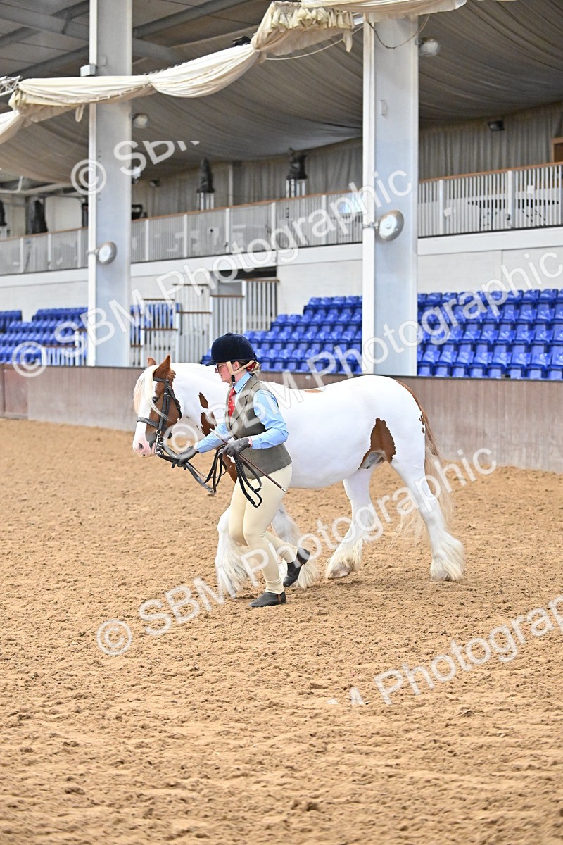 SBM_000287 - Class 10 - In Hand Coloured & Odd Coloured