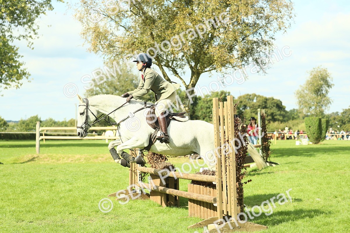SBM_47915 - S32 - Novice & Newcomers Working Hunter