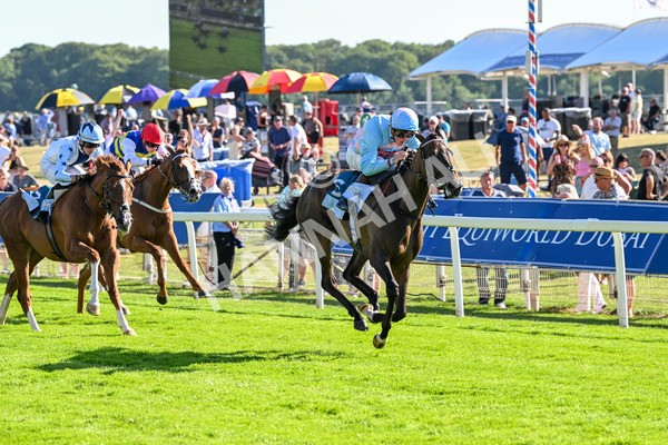 110725-Race 7-Secret Beach-4699 - Race 7 5.40pm William Hill Bet In Running Apprentice Handicap
