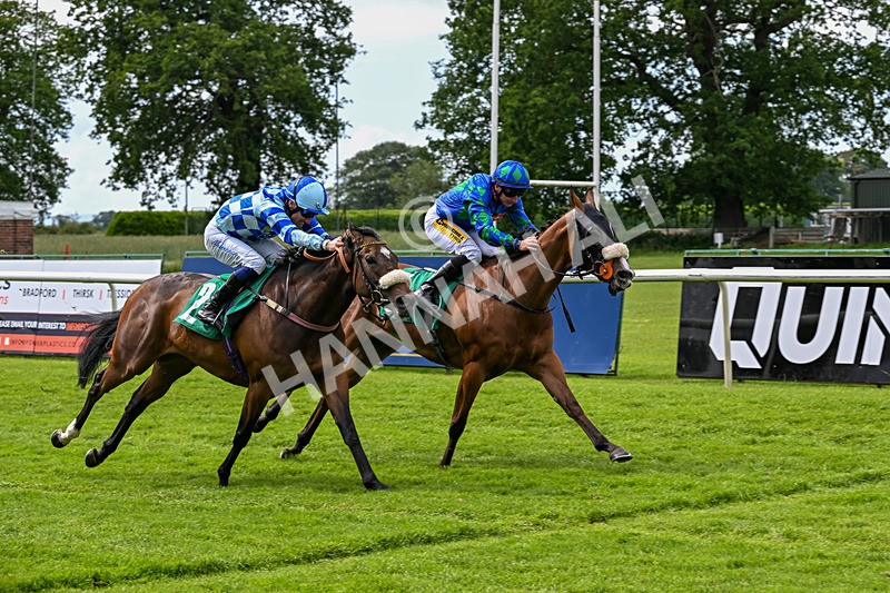 050626-Race 4-Annie Edson Taylor-3279 - Race 4 15.30pm Moody Construction Handicap