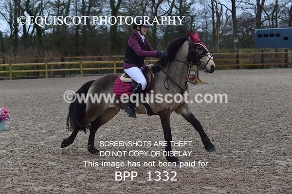 BPP_1332 - CLASS 5 Pony BritiNovice / 0.80m Open