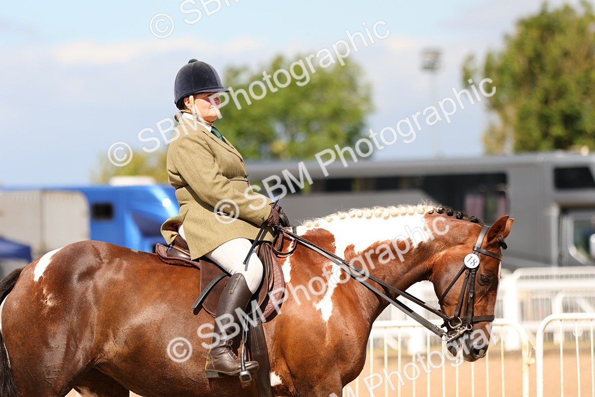SBM_13171 - Class 211 - Ridden Hunter - Small