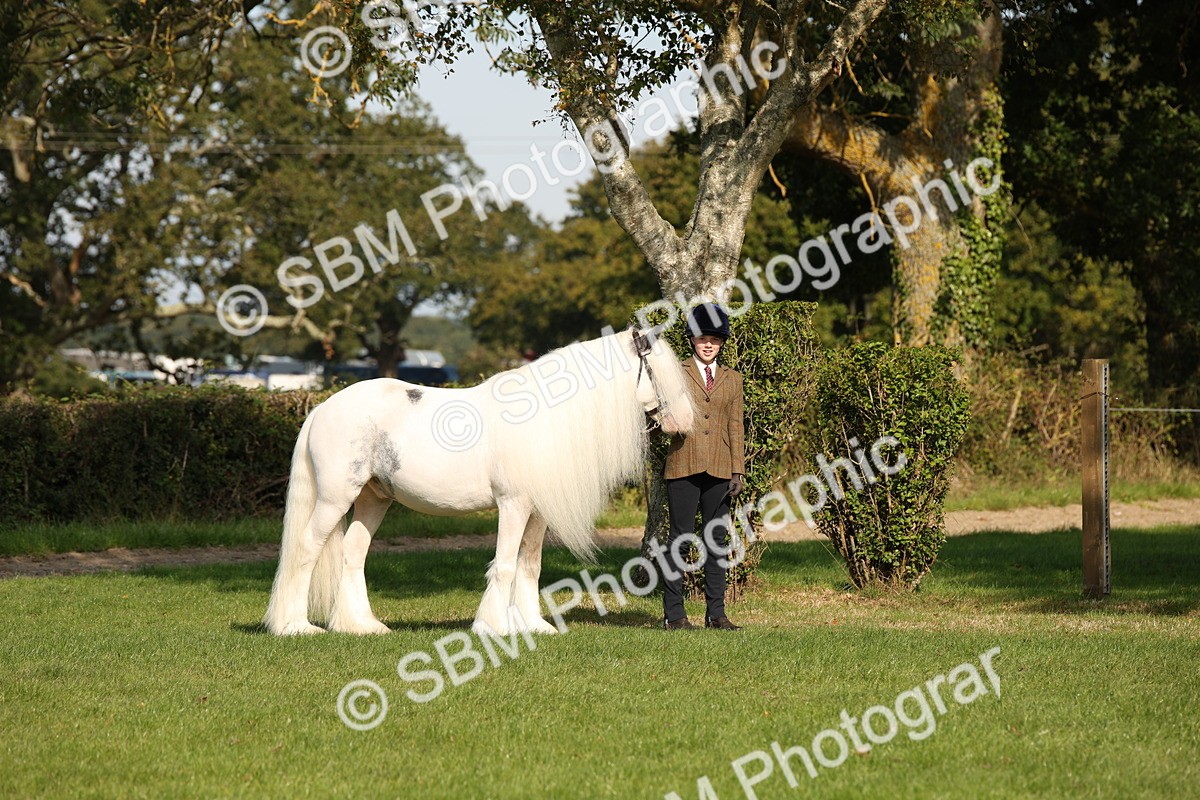 SBM_62176 - S55 - Traditional Cob In Hand