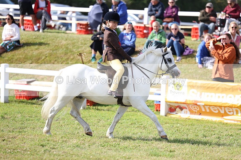 3E7A3827 - Supreme Championship