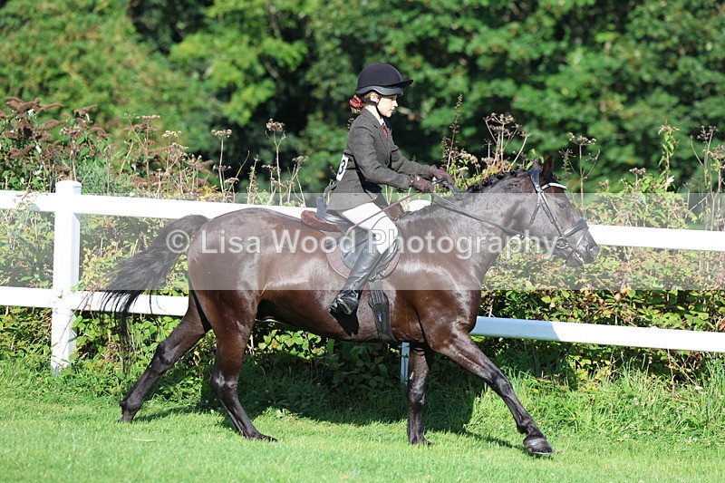 3E7A7591 - Class 1: Novice Working Hunter Pony