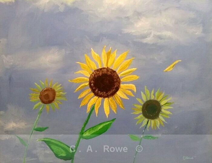 Sunflowers - Gallery 1