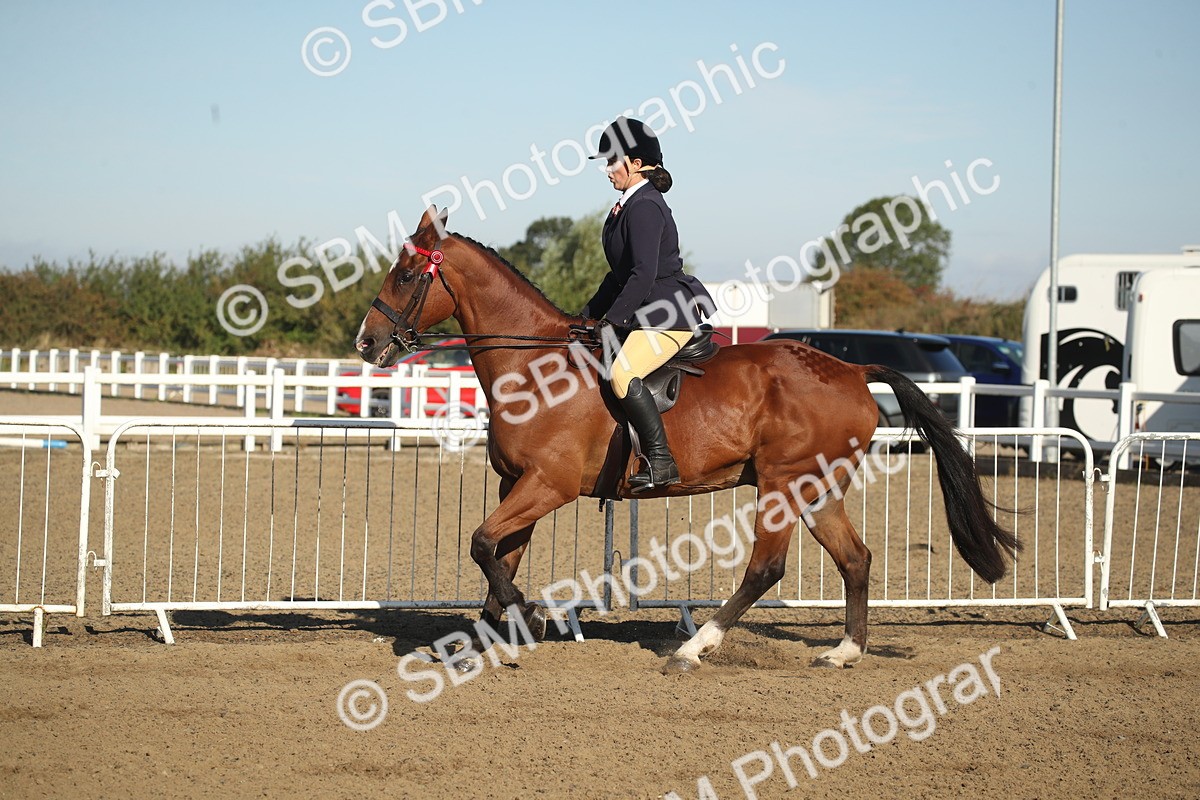 SBM_11319 - Class 501 -Riding Club Pony