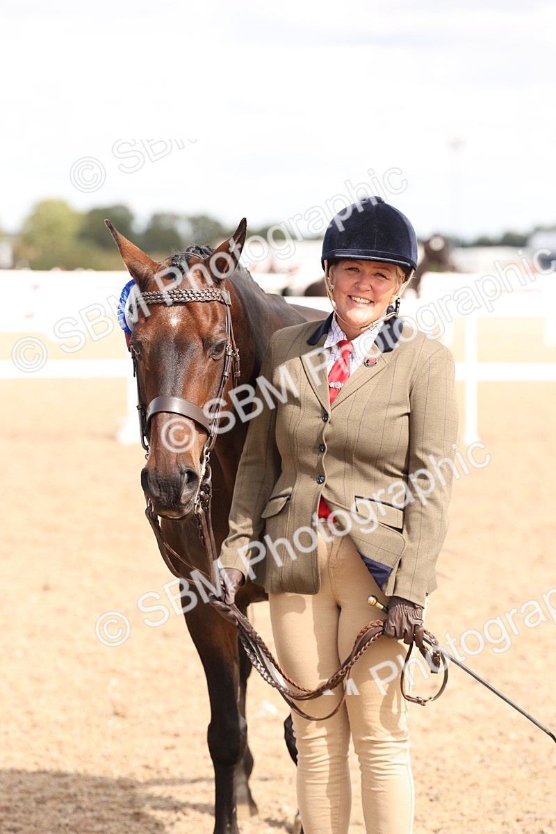 SBM_14728 - Class 208 - IH Veteran Horse