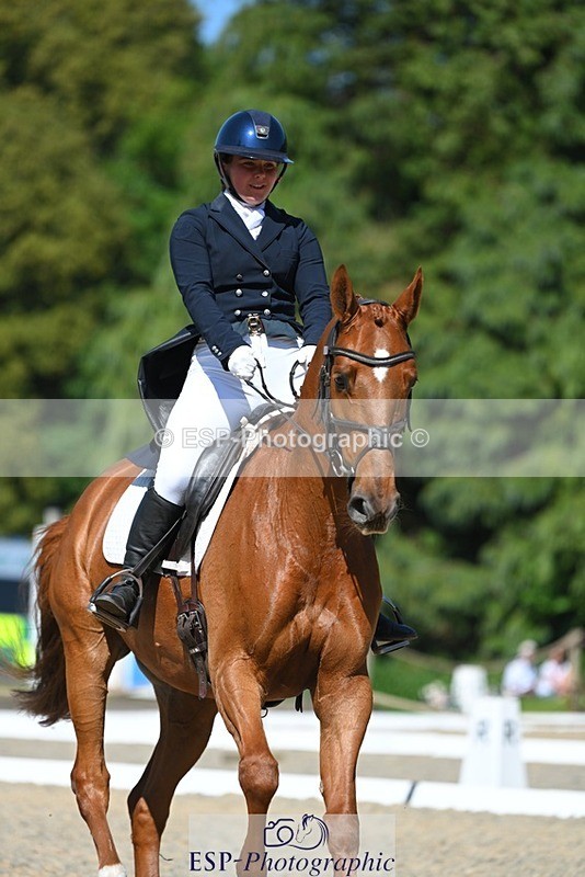 230526-155511-07213 - 251-CLASS_MOVE-Ellie_Healy-WEDTrotUp+DR
