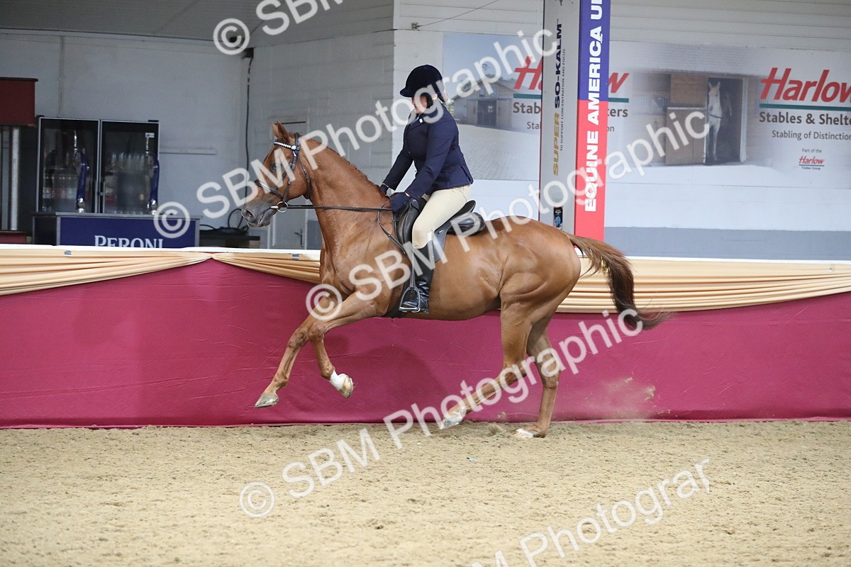 SBM_12350 - Class 108 Ridden Retired Racehorse- Pre Judging