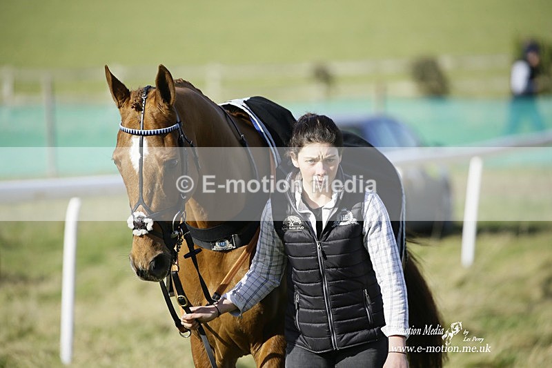 PtP 260222 306 - Kingston Blount Racing Club Point-to-Point 26/02/22