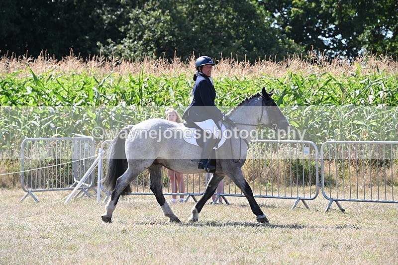 WJ6_8905 - Class 38 Ridden Riding Horse/Pony