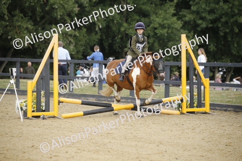 20250622-1282 - 40cm