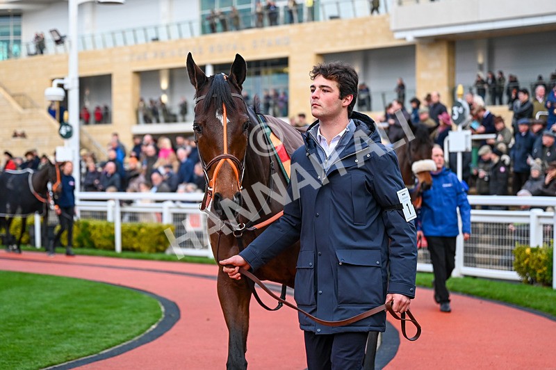 141224-Race 6-Jet Blue-0812 - Race 6