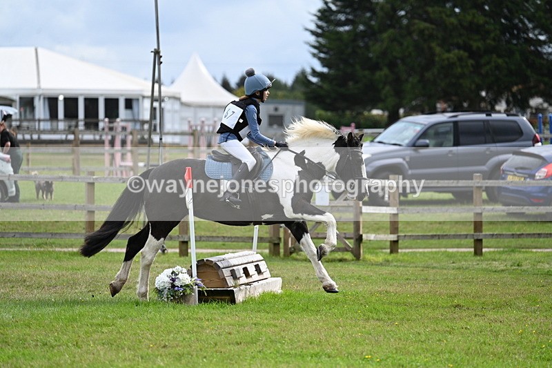 WJ7_9005 - 60cm Time 12:31 to 12:50