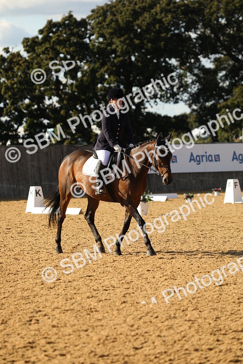 SBM_26982 - D17 - Grand Tour Championship - Novice 27