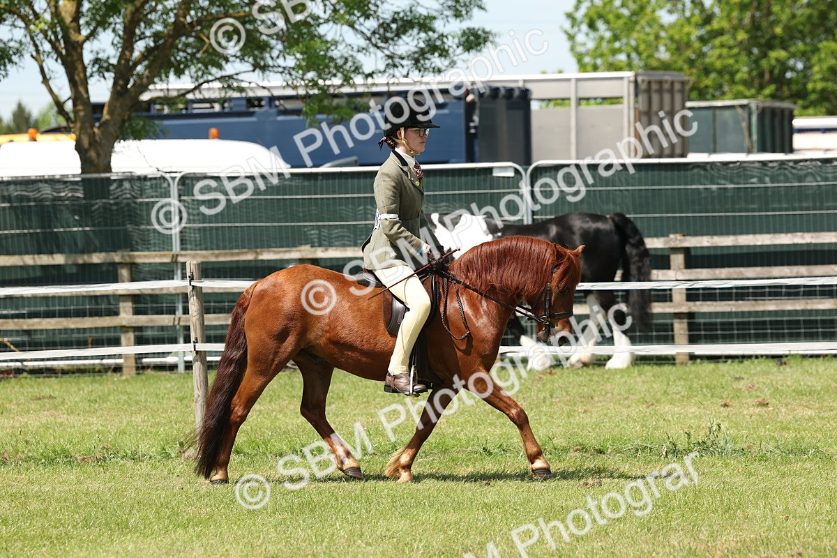 SBM_06797 - Class 26-30 - Mountain and Moorland Ridden