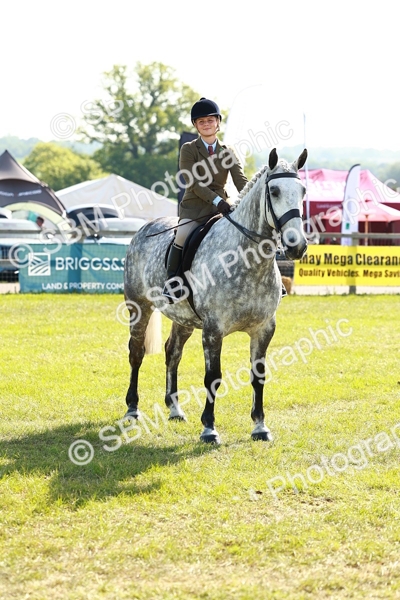SBM_11835 - Class 66-69 - RIHS Ridden Hunters Inc Small Hunter