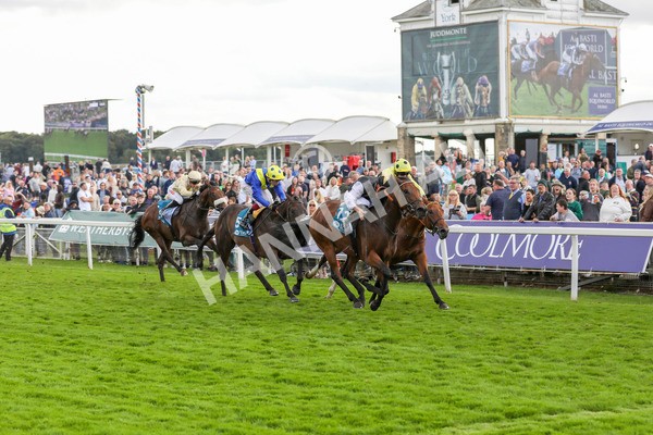 230824-Race 7-Treasure Time-8566 - Race 7 5.20pm Sky Bet Mile Handicap
