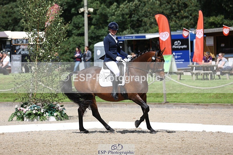 230812-113946-03821 - Cls 5 Novice Bronze 11.15 to 12.50 break