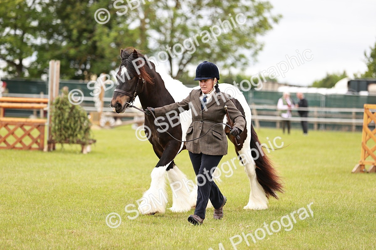SBM_05978 - Class 39-41 TGCA In Hand and Ridden