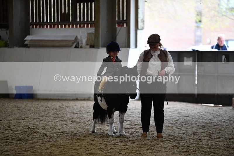 WJ5_6677 - Class 10 Childs Pony