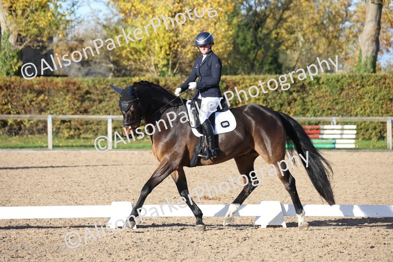 20251102-1232 - Class 7 - Medium 5