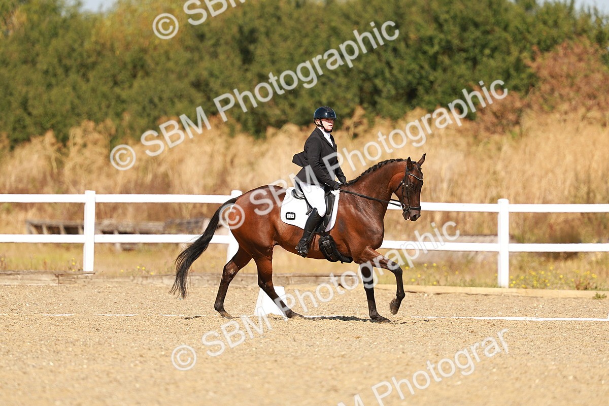 SBM_017725 - Class 9 - N5 Bronze 10.33.11.36
