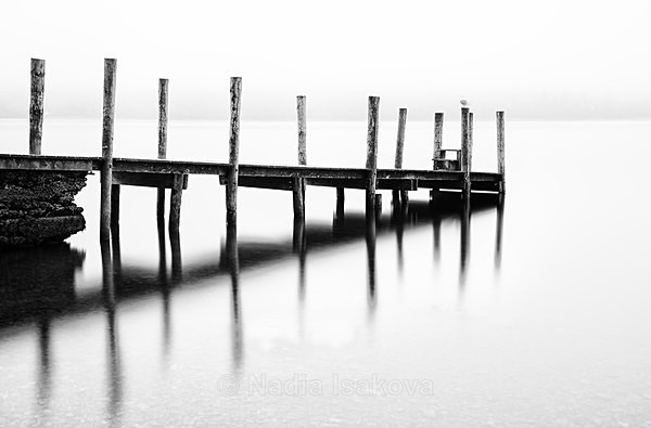  - Black & White