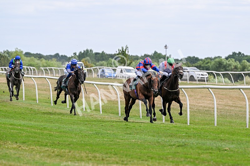 220726-Race 2-Koodini-9003 - Race 2 14.37pm Try Racing TV For Free Now Nursery Handicap