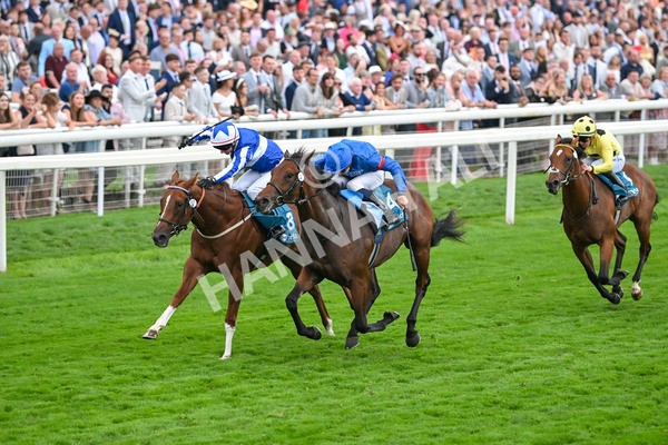 230825-Race 6-Revival Power-0829 - Race 6 4.45pm Julia Graves Roses Stakes