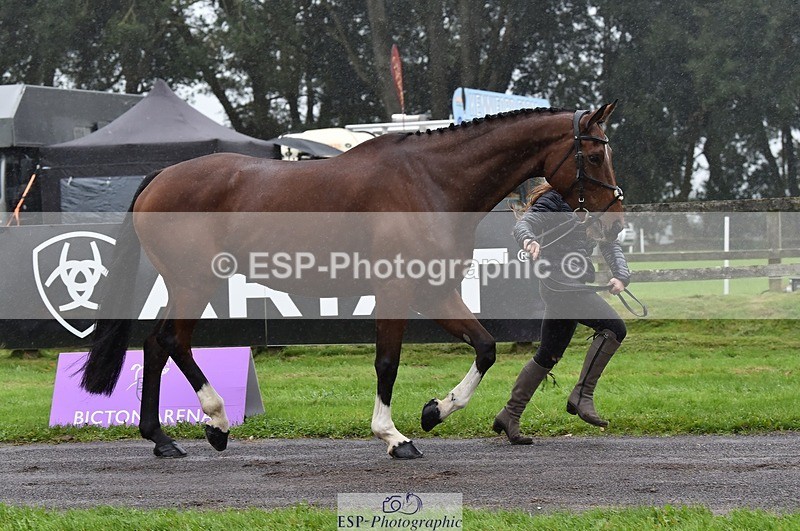 231018-120204-00045 - 040-DODINGTON-Sophie.Wildern-TrotUp