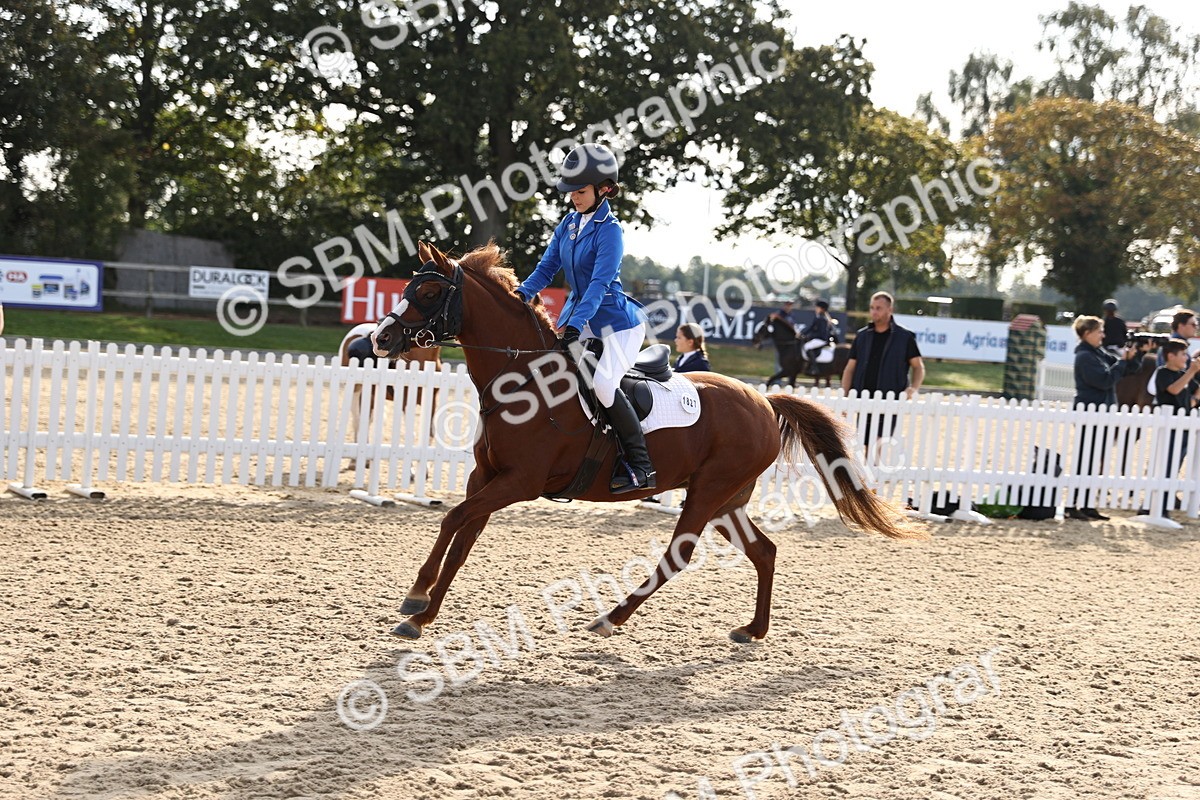 SBM_59799 - J11 - Junior Pony 50cm Championship