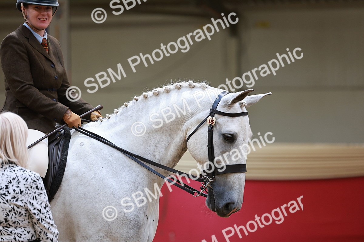 SBM_06054 - Class 12R - Ridden Pre-Vet