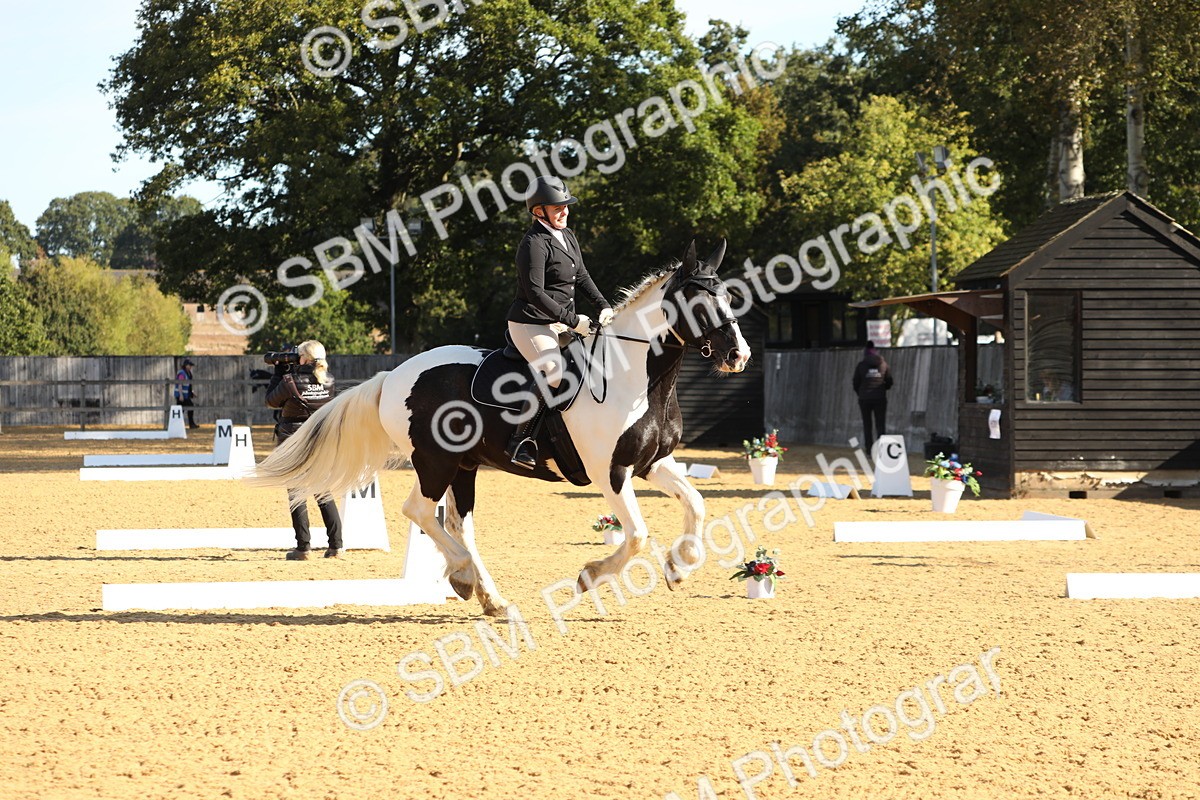SBM_16591 - D10 - Small Tour Championship - Prelim 2