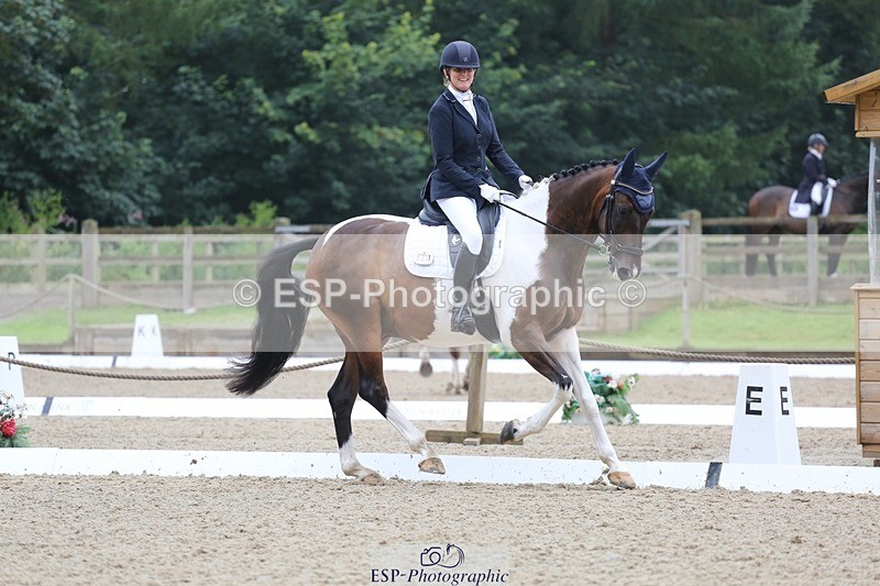 240720-150027-06282 - 124-Sophie_Savage-Two_Tone_Ted