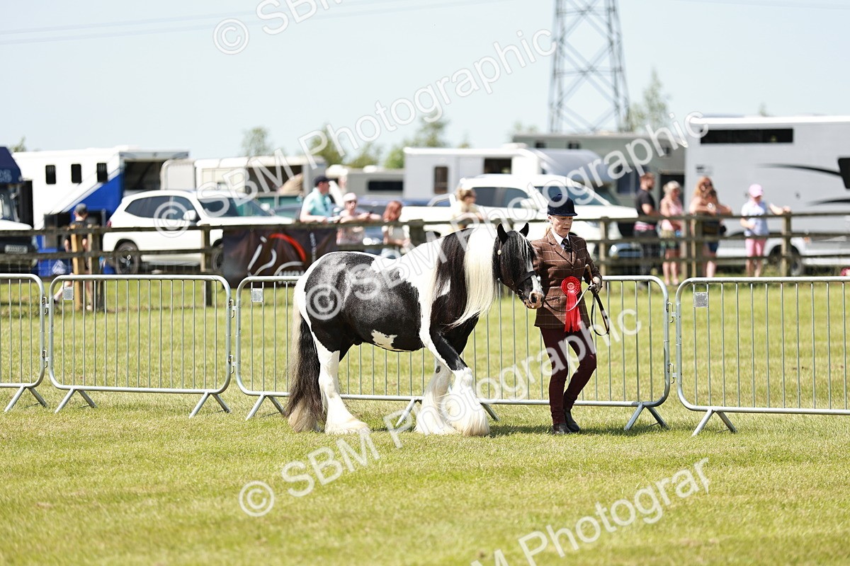 SBM_05486 - Class 41-45 - Riding Pony-Hunter Pony Breeding