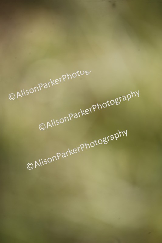 20250831-2299 - Class 5 - 90cm