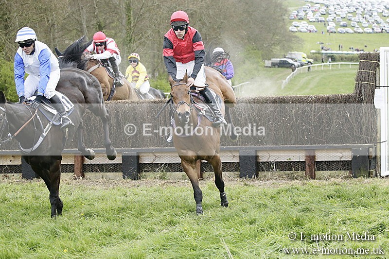 PtP 170417 452 - Old Berks Point-to-Point Lockinge 17/04/17