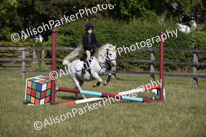 20250831-0420 - Class 7 - Absolute Novice 35cm