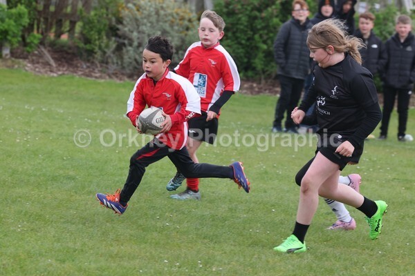 DAD22412 - Rookies/Mini Rugby on 7s Day