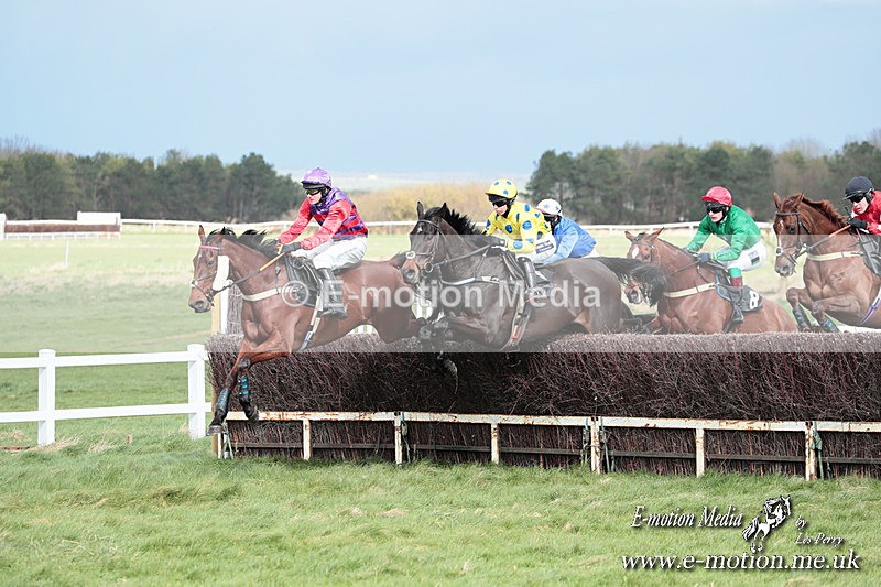 PtP 230324 382 - Tedworth Hunt PtP Larkhill Raccourse 23rd March 2024